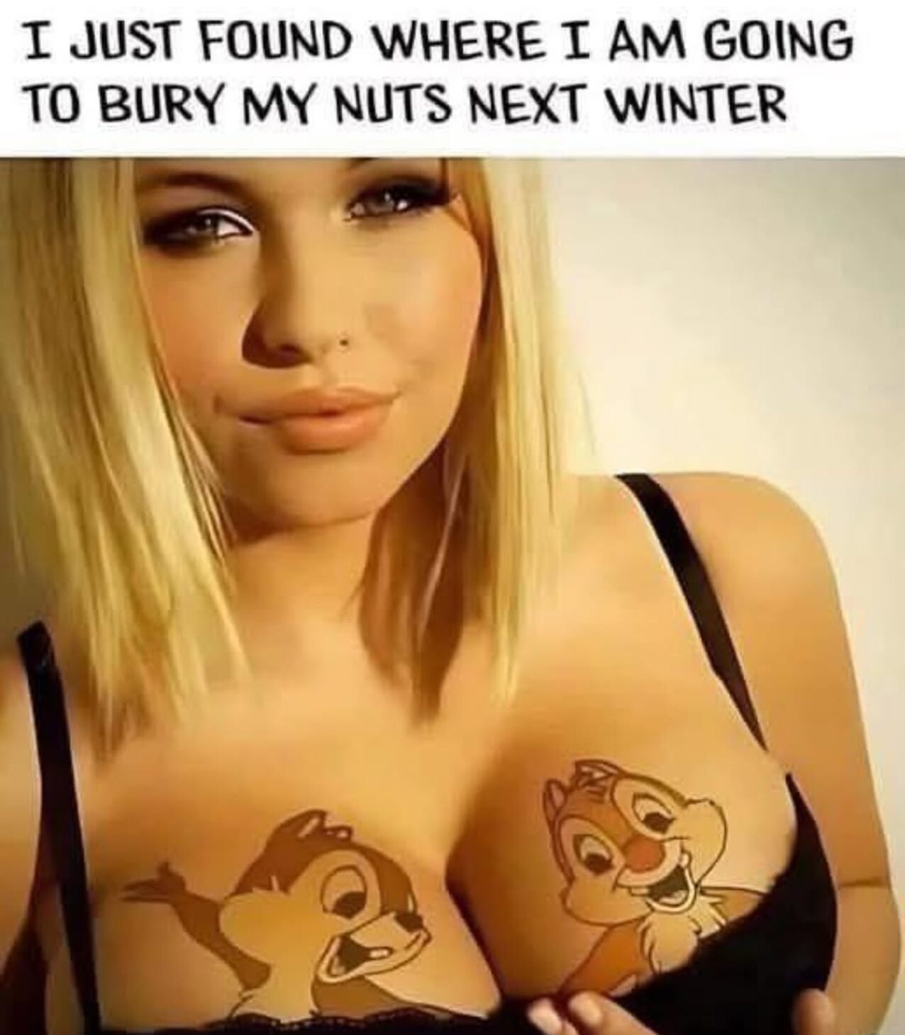 blonde busty meme