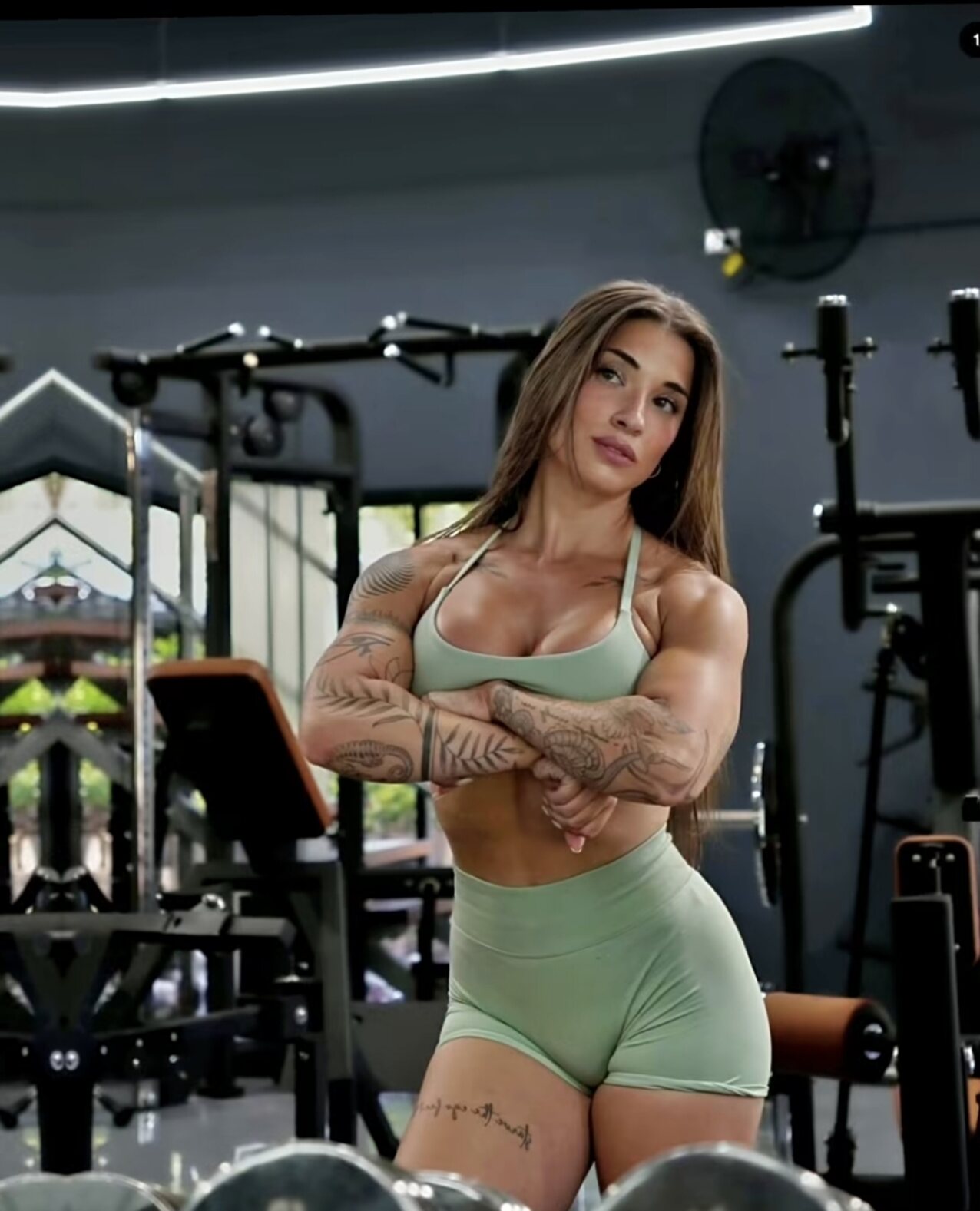 beautiful fitness gym