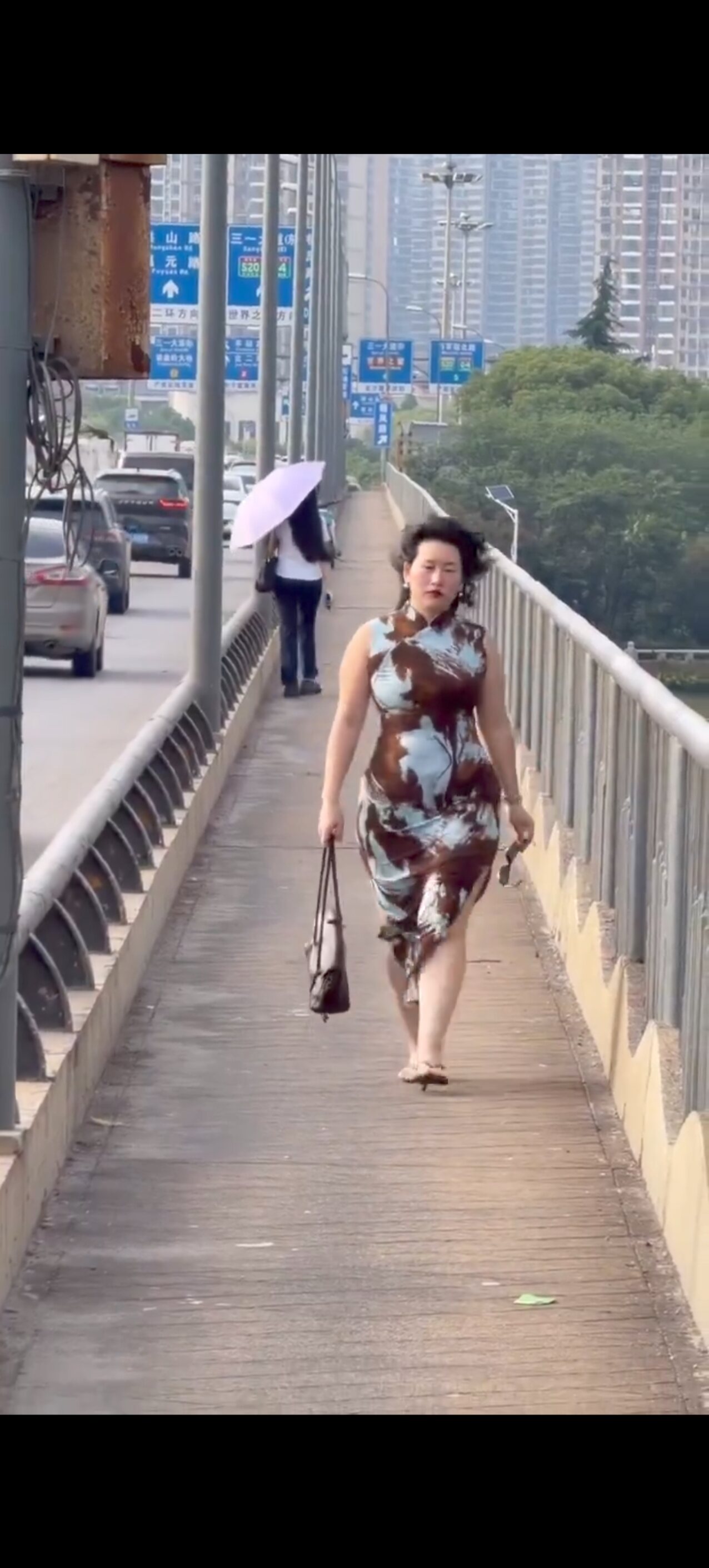 chinesse asian qipao