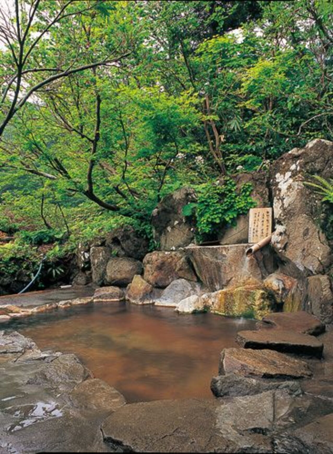 jav japanese onsen
