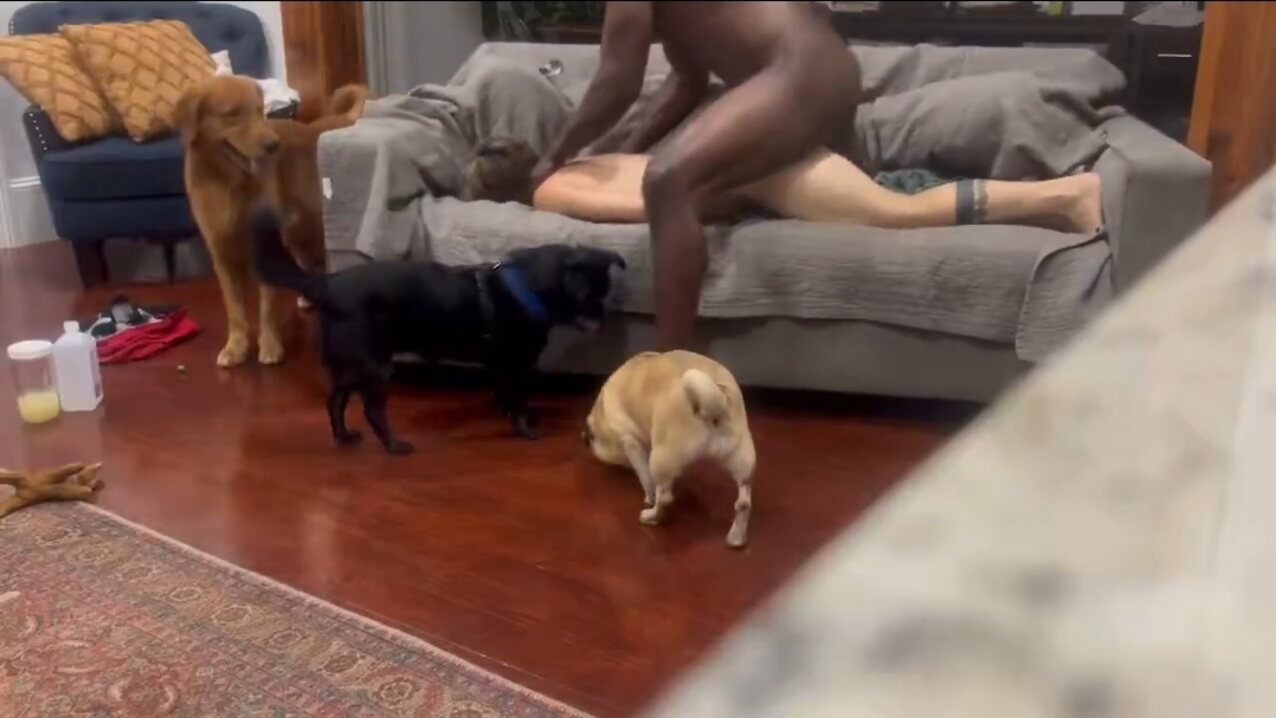 bbc hardcore petite