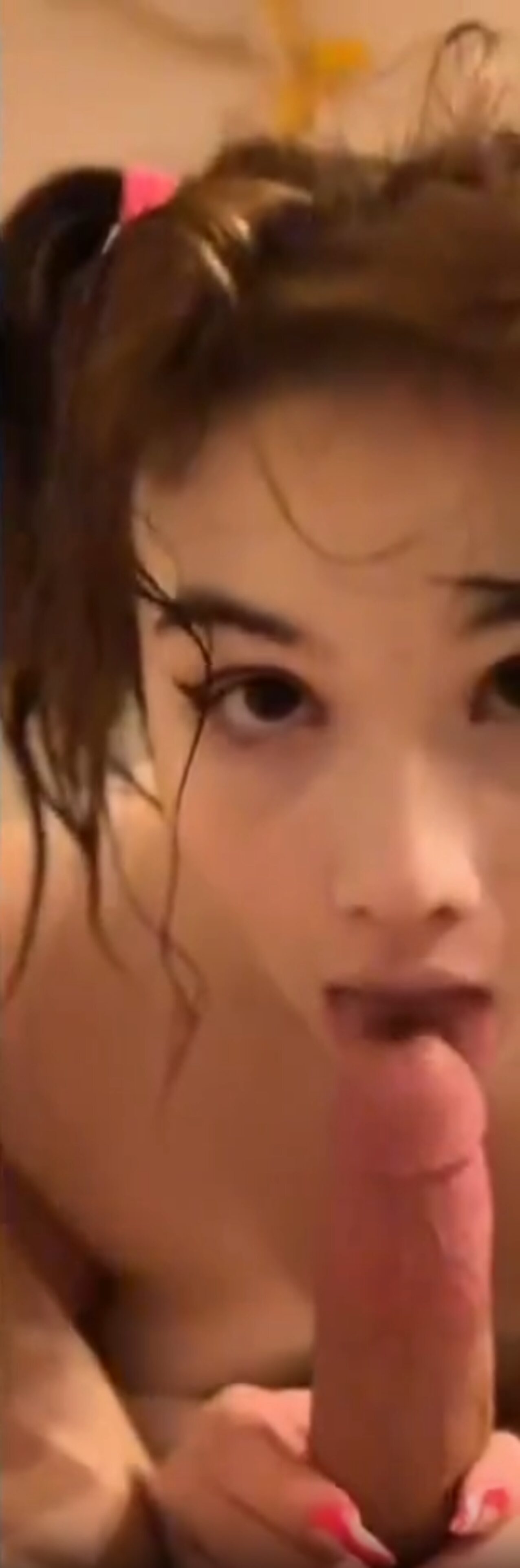 blowjob cutie pigtails