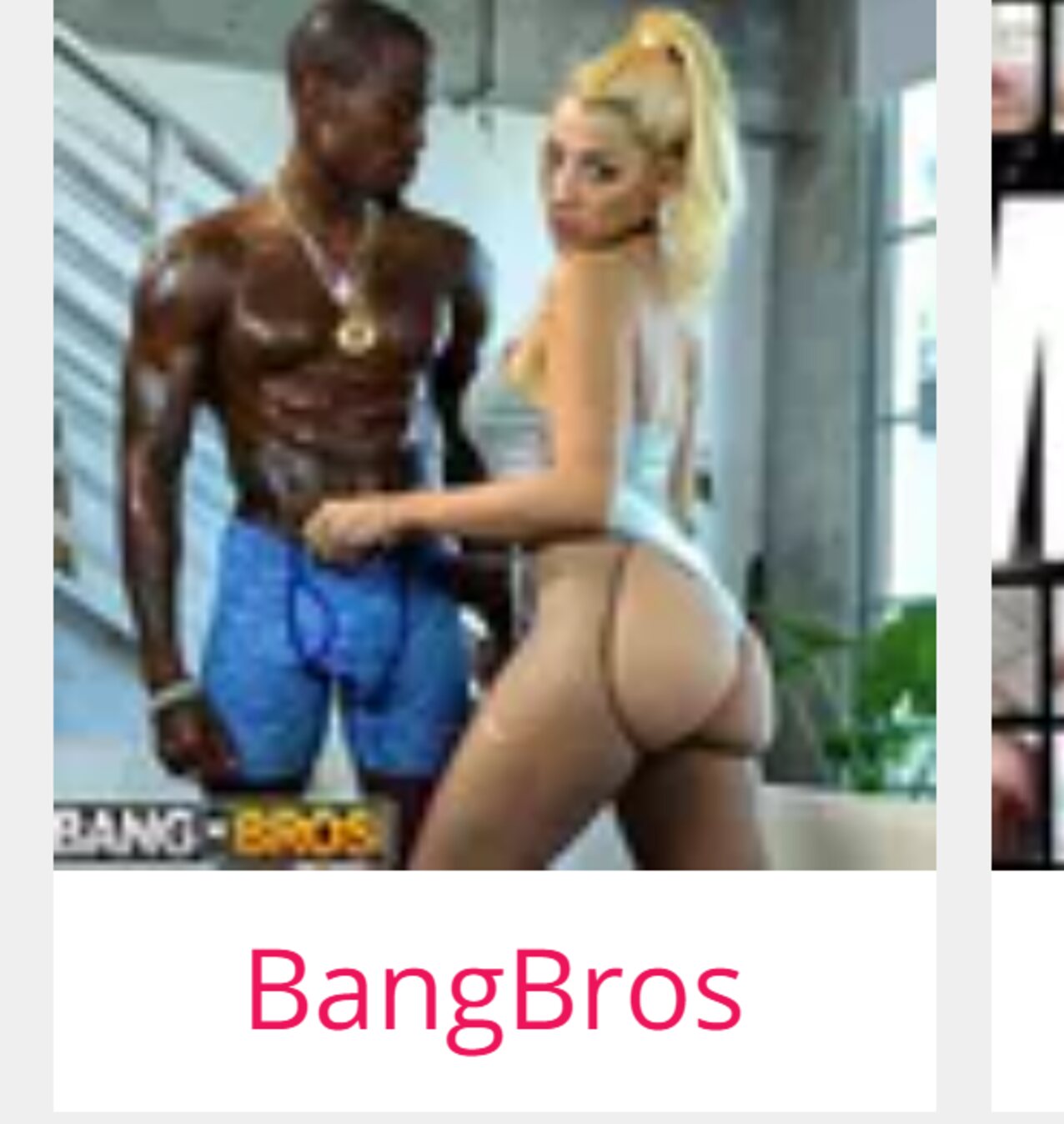 bangbros blonde namethatporn