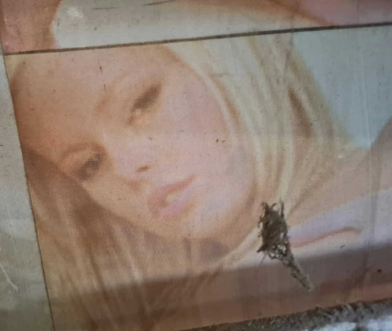pornstar playboy covergirl