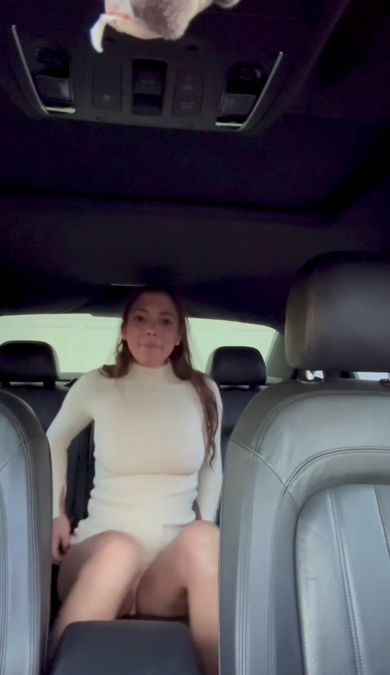 car piss car piss