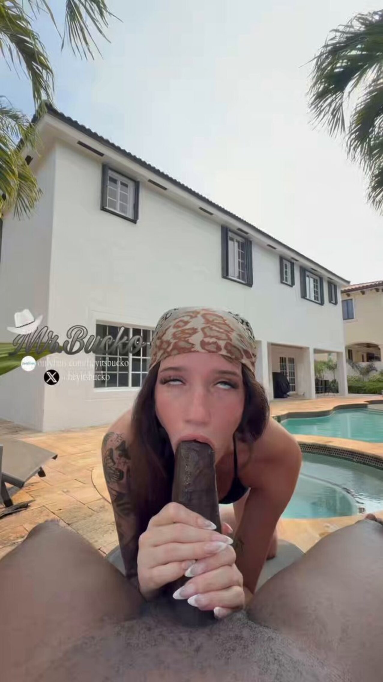 bbc interracial snowbunny