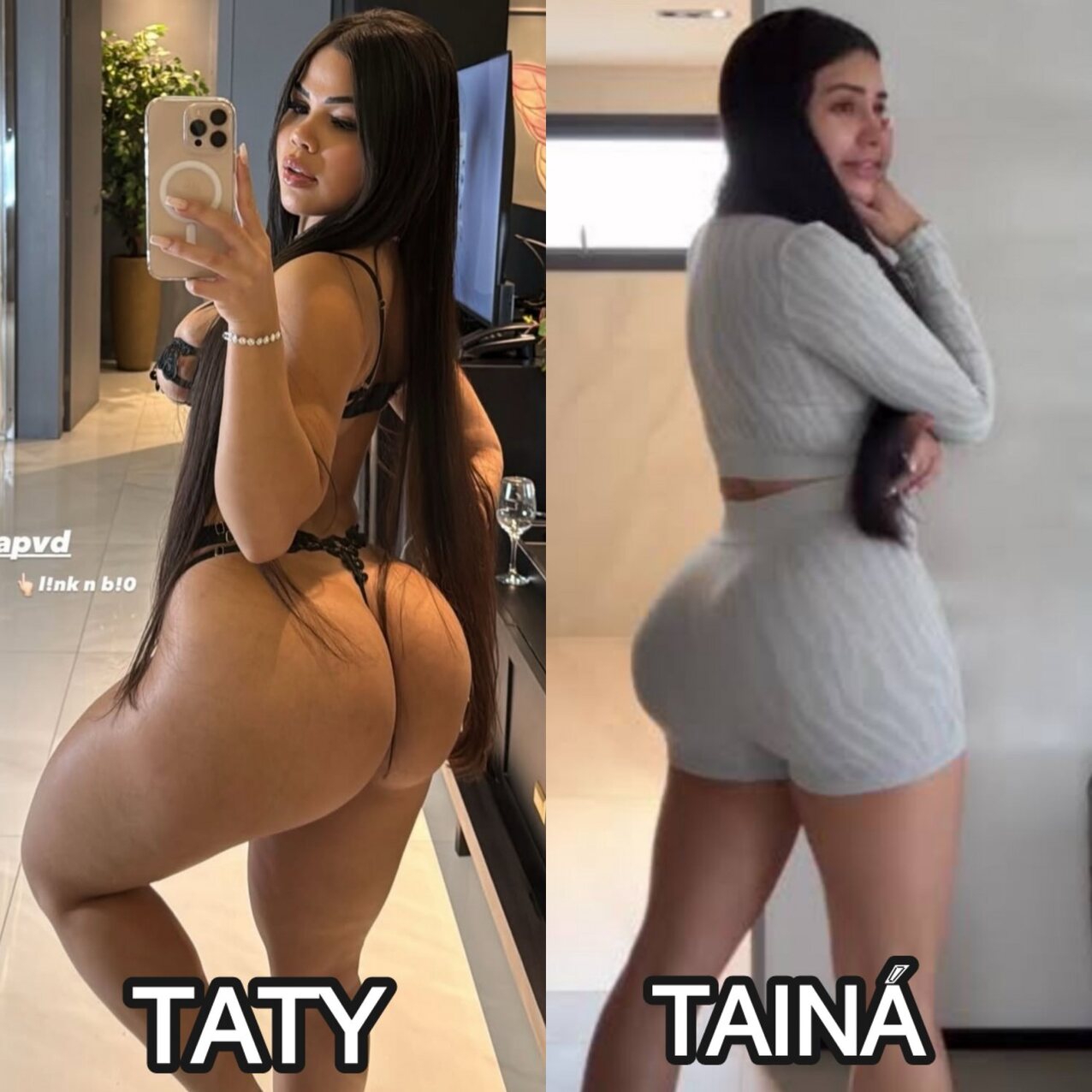 brazil brazilian latina