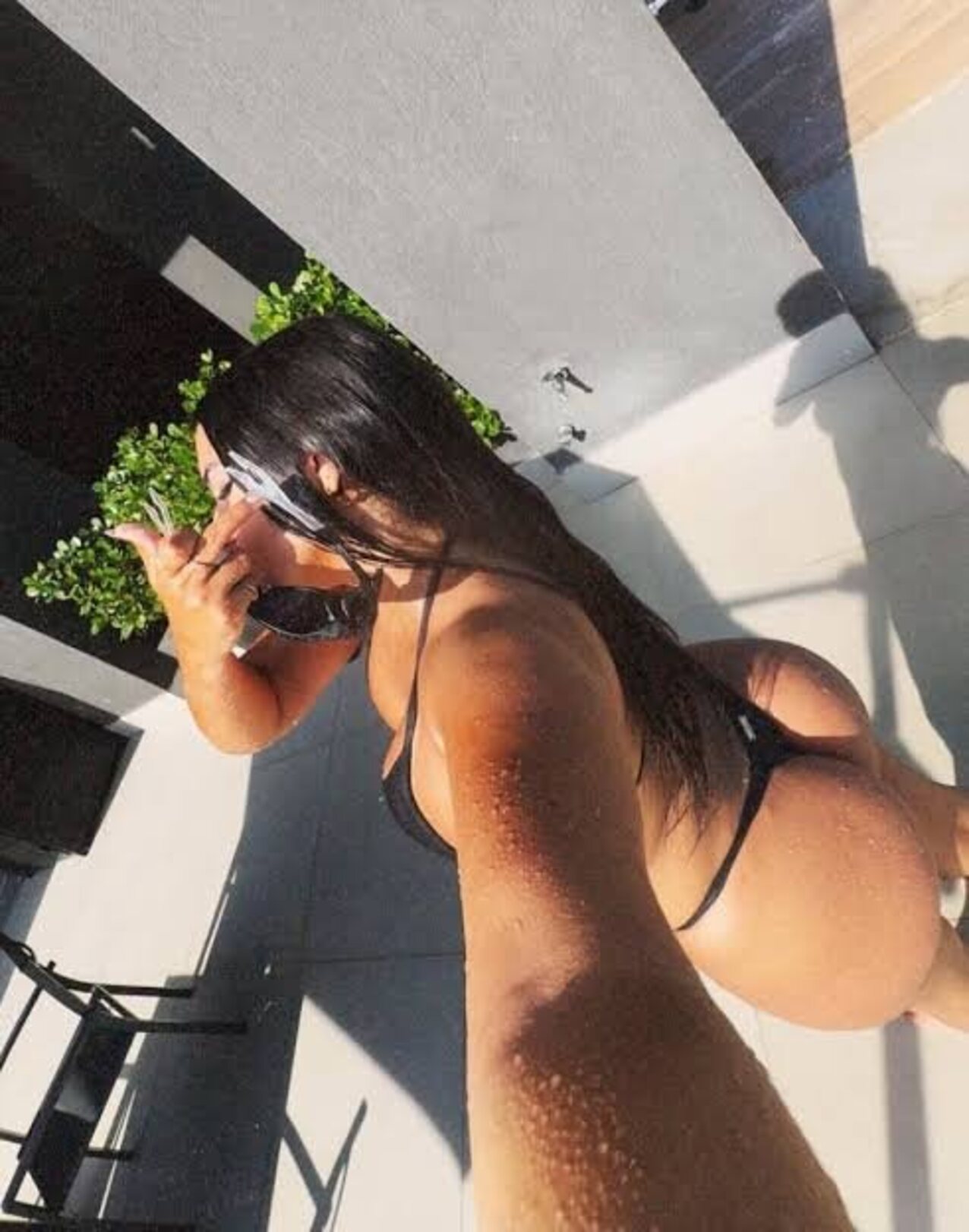 brazil brazilian latina