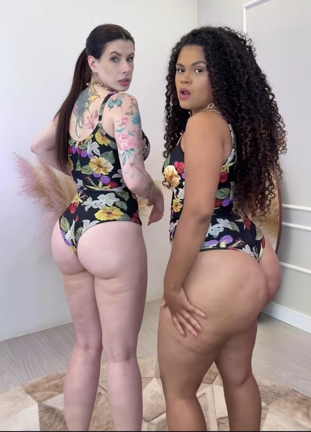 brazil brazilian latina
