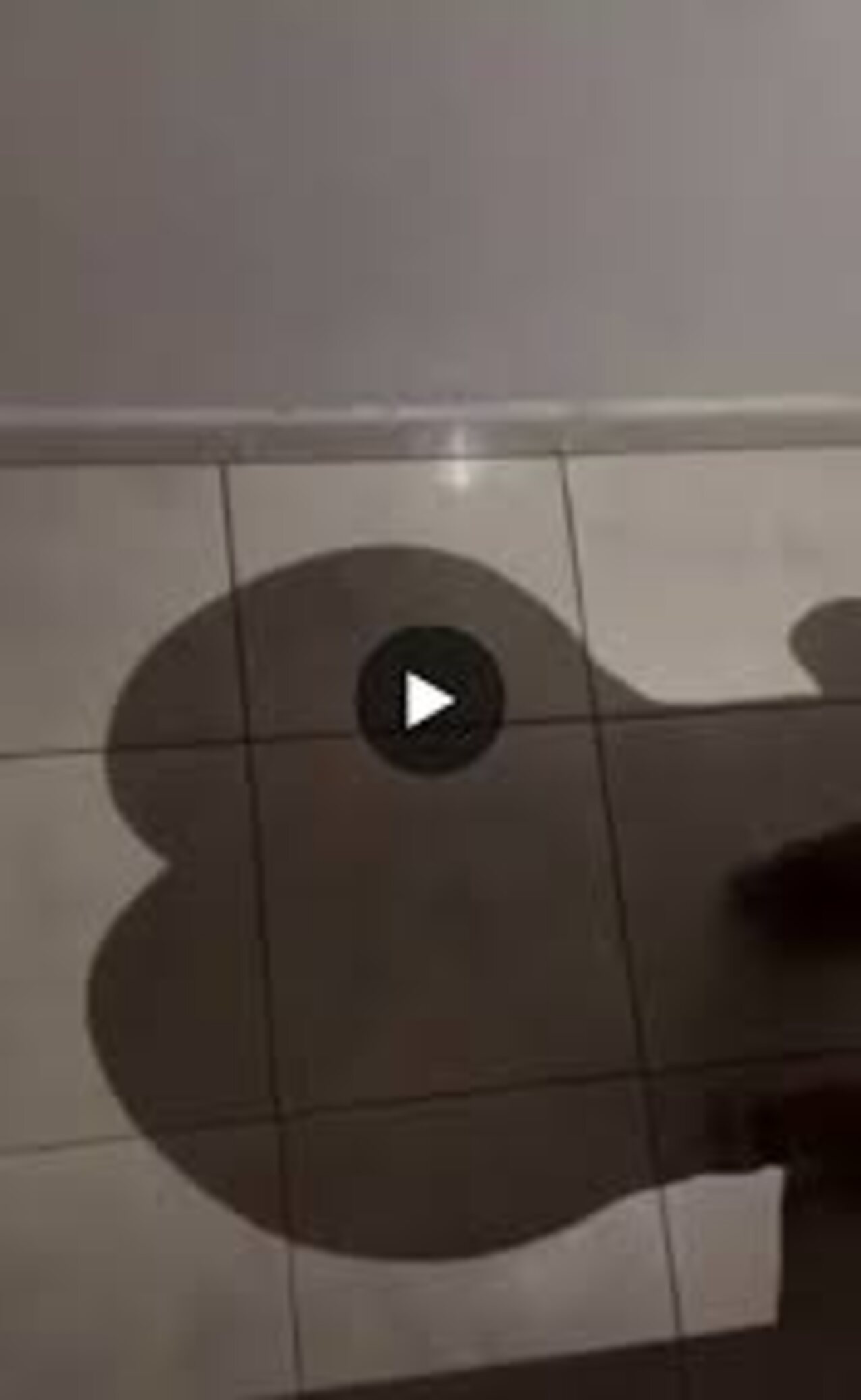 shadow big ass shaking ass