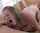 teen bangbros