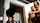 digital playground joi