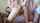 chaturbate amateur webcam