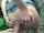 blonde anal outdoor