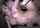 What's the name of this porn actor?