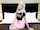 teamskeet petite casting