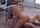 What's the name of this porn actor?