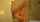 What's the name of this porn actor?