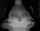 What's the name of this porn actor?