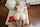 Where can I find this video?