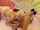 blond lingerie threesome