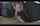 her name plzz and the video