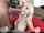 teamskeet