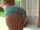 big ass booty bangbros