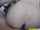 cam4free homemade webcam