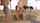 casting threesome teen