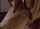 Video/scene name/ name of the girl?