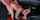 21sextury
