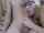 cute webcam teen