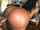 booty bangbros