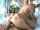 twistys