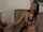 stockings milf pornstar
