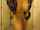 Whos that girl?