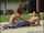 Where can I find this video from up and cummers 89 Paige turner