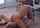 What's the name of this porn actor?