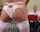 tattoo ads stockings