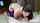 blowjob pov