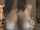 What's the name of this porn actor?