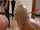 Need full video