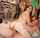 What's the name of this porn actor?