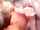 tits homemade groupsex