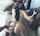 gangbang black blonde