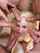 blond pornstar hardcore