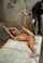 Who is she and what video