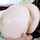 teen teamskeet