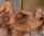 What's the name of this porn actor?
